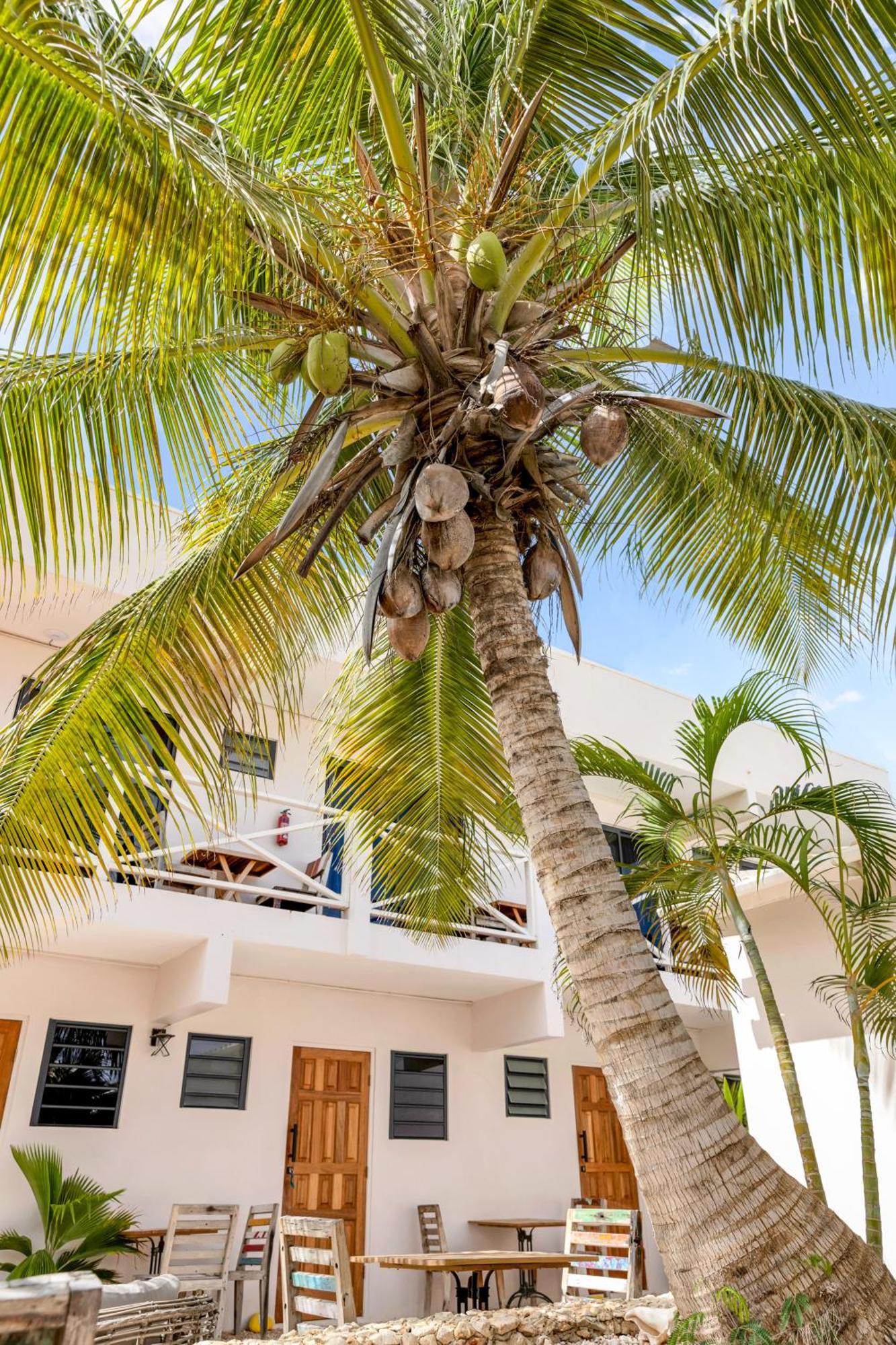 The Hut Bonaire Ξενοδοχείο Κράλεντικ Εξωτερικό φωτογραφία